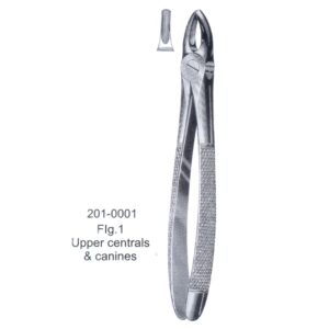 Extracting Forceps