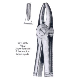 Extracting Forceps