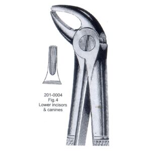Extracting Forceps