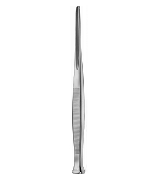 Bone Chisels Gouges