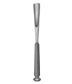 Bone Chisels Gouges