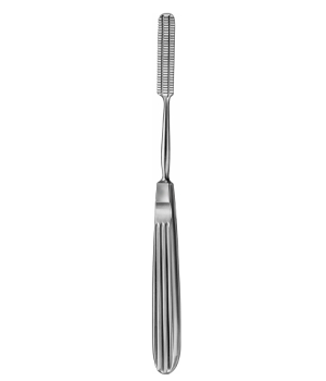 Bone Rasp Raspatories