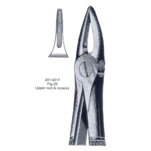 Extracting Forceps
